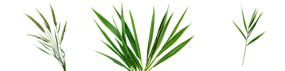 Lush Green Leaves and Foliage Forming Abstract Natural Patterns and Textures for Eco Friendly Designs