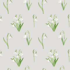 Seamless pattern with snowdrops