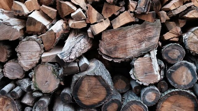 stack of firewood 2024 2021