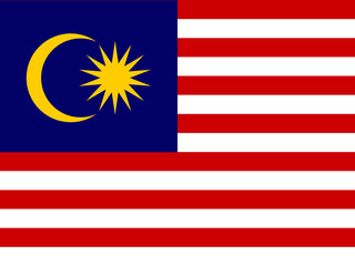 flag illustrator country flags