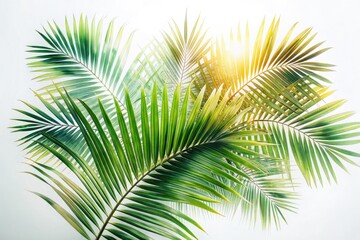 Fototapeta premium Surreal palm leaves double exposure, artistic white background.