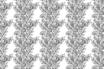 Botanical Line art abstract pattern whit plant and flowers vector illustration. Black and white outline repeating floral print. Graphic design for Wallpaper Cover Wrapping Textile Greeting Card Book