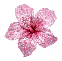 PNG Pink glitter hibiscus flower art sparkling.