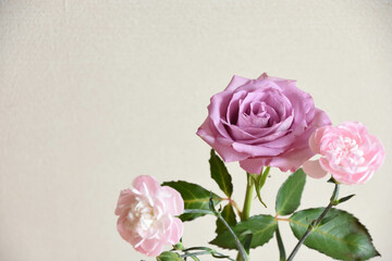 薔薇とカーネーション