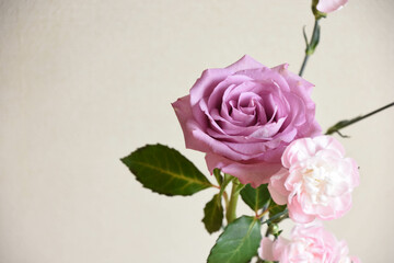 薔薇とカーネーション