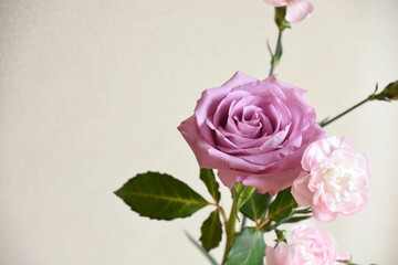 薔薇とカーネーション