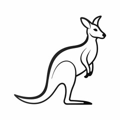 kangaroo vector