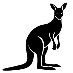 kangaroo vector illustration