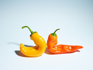 Sweet farm peppers over light blue background
