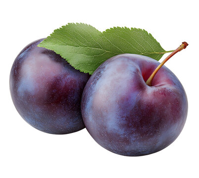 Two fresh plums with leaves isolated on transparent background