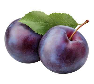 Two fresh plums with leaves isolated on transparent background