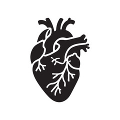 anatomical heart vector clip art flat design.