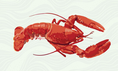 Lobster. Vector illustration of a red crayfish.