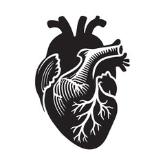 anatomical heart vector clip art flat design.