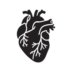 anatomical heart vector clip art flat design.
