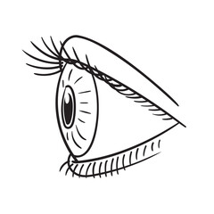 Doodle Vector Illustration of a Side View Eye in Cartoon Style. Isolated on white background. Fun drawing cartoon style icon. Perfect for beauty, anatomy, or vision-related projects your designs.
