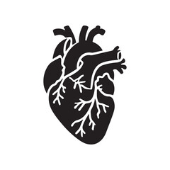 anatomical heart vector clip art flat design.