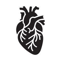 anatomical heart vector clip art flat design.