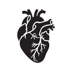 anatomical heart vector clip art flat design.