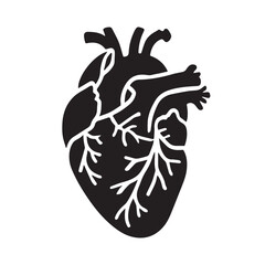 anatomical heart vector clip art flat design.