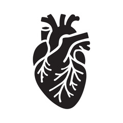 anatomical heart vector clip art flat design.