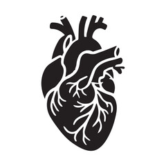 anatomical heart vector clip art flat design.