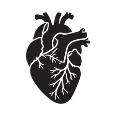 anatomical heart vector clip art flat design.