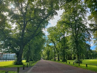 alley in the park