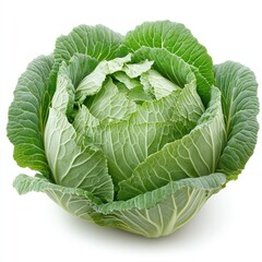Obraz premium Fresh Green Cabbage: A Vibrant Head of Cabbage