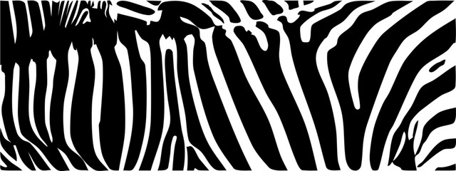 ZEBRA vector illustration on white background for tatoo, typography, t hirt, wall art, poster. Vector sketch.