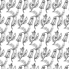 ZEBRA vector illustration on white background for tatoo, typography, t hirt, wall art, poster. Vector sketch.