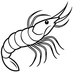 Shrimp Sketch Illustration