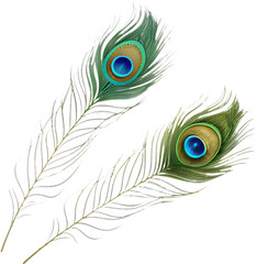 Obraz premium Vibrant peacock feather clipart, perfect for enhancing designs with rich, colorful elegance.