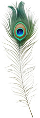 Obraz premium Vibrant peacock feather clipart, perfect for enhancing designs with rich, colorful elegance.