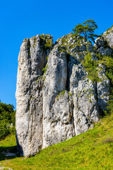 Filar Abazego Abazy Pillar Jurassic rock, part of Brama Bolechowicka Gate limestone rock formation in Dolina Bolechowicka Valley within Cracow Valleys landscape park in Lesser Poland