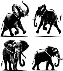 elephents silhouette, silhouette of ellephent set
