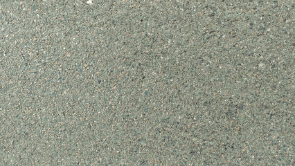 The background is uniform gray asphalt with small stones.