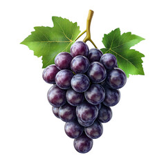 Fototapeta premium grape realistic 3D isolated on transparent background