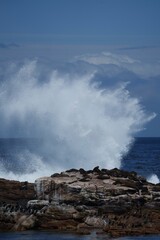 Dramatic ocean wave crashing against rocky shore with sea lions basking under a clear blue sky.