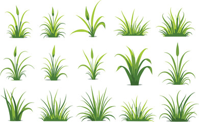Grass Vector Clipart Bundle for Designs