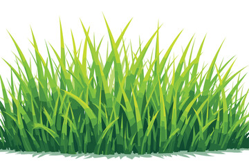 Grass Vector Clipart Bundle for Designs
