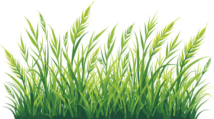 Grass Vector Clipart Bundle for Designs