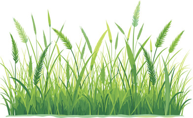 Grass Vector Clipart Bundle for Designs