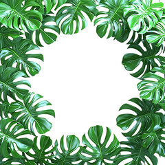 Tropical Leaf Frame with Monstera Leaves on Transparent Background