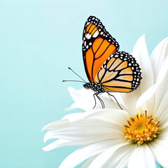 A butterfly is perched on a white flower. Concept of tranquility and beauty, as the delicate butterfly rests on the vibrant flower. The combination of the butterfly's bright colors