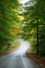 Winding road through autumn forest