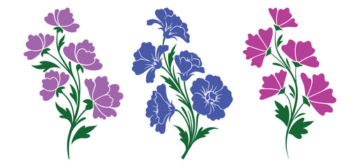 A colorfully beautiful spring flower collection vector 