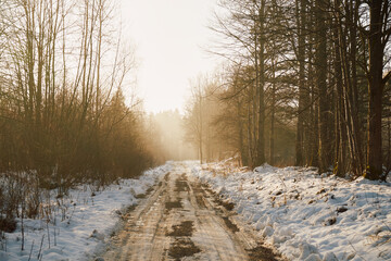 zima, droga,mgła  © Marcin Łazarczyk