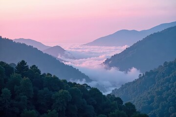 Obraz premium Soft pink mist swirls amidst dark greens and blues, vapor, fog, landscape