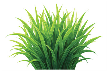 Grass Vector Clipart Collection